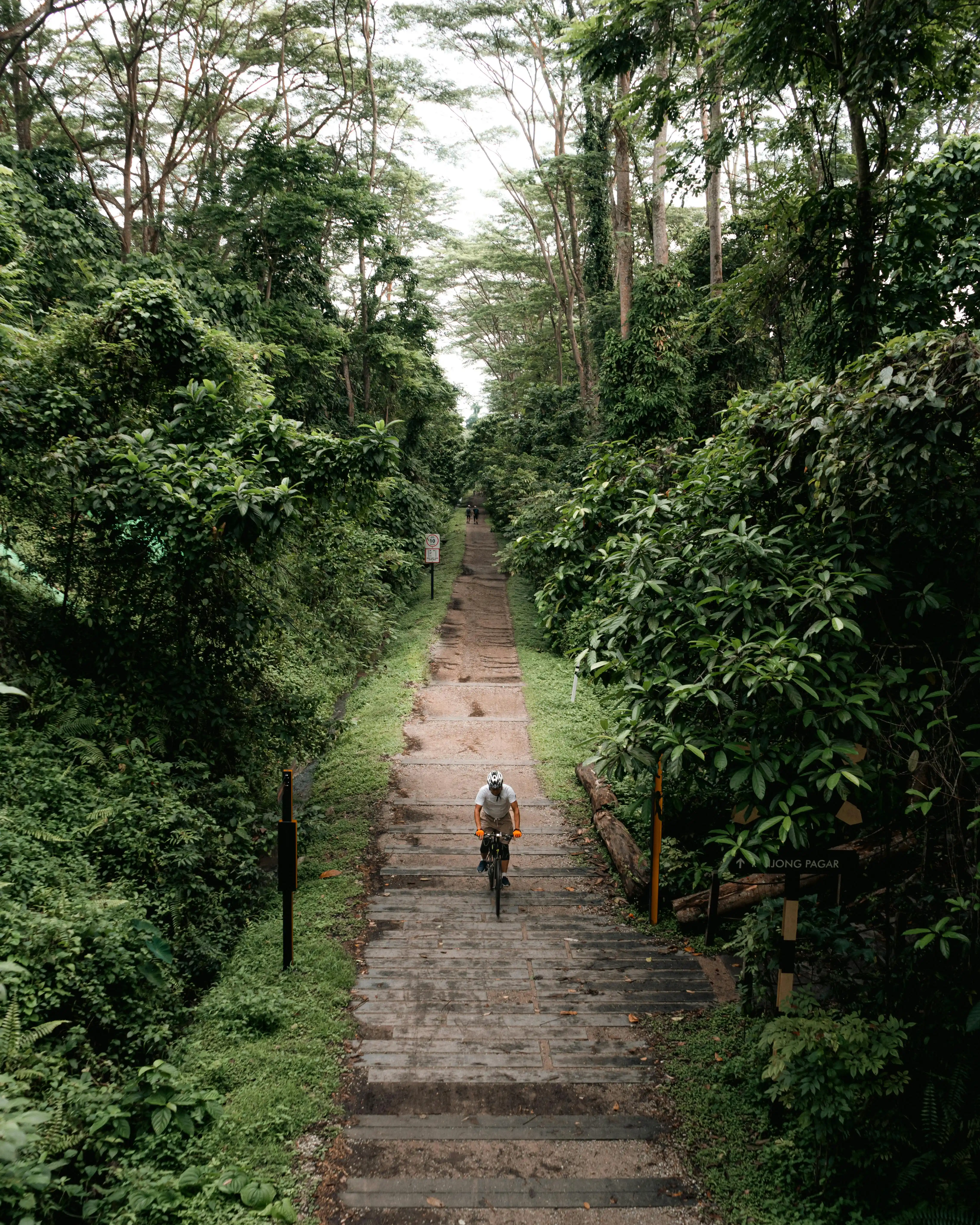 Clementi · Upper Bukit Timah